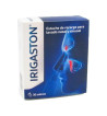IRIGASTON 30 SOBRES 2,16 g