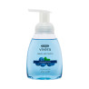 ACOFARMA Vivera Jabón Manos Espuma Arándano 250ml | Farmaenvia