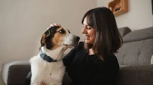  Cuida a tu mascota con los mejores productos veterinarios sin receta